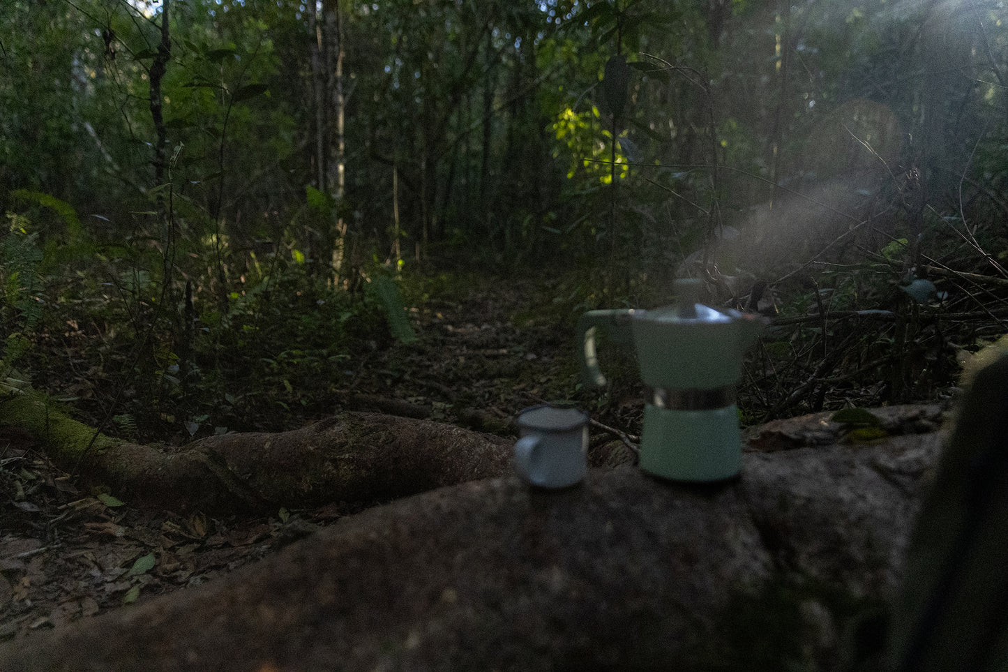 Rabid Raccoon Espresso : Libérez le Chaos (Sac de 450g)